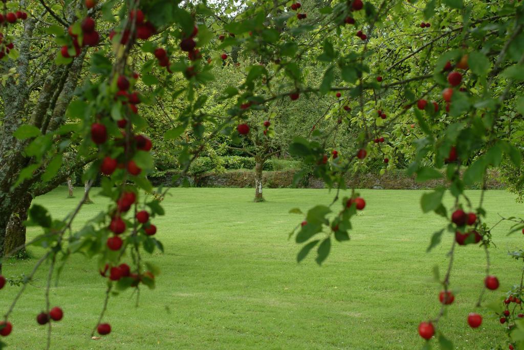 Cilgerran Rhosygilwen Courtyard Bed & Breakfast エクステリア 写真